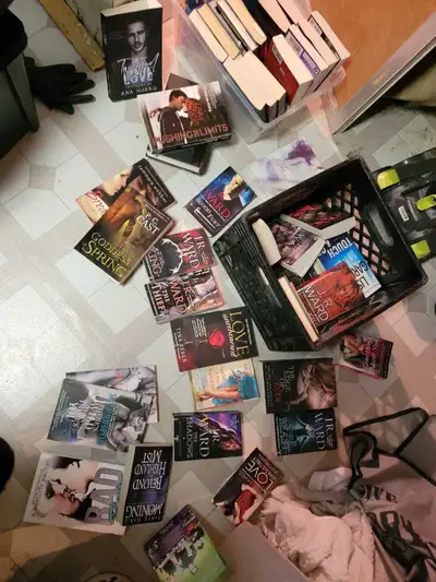 FANTASY NOVEL. ROMANCE NOVEL. SUSPENSE NOVEL. SFT COVER BOOKS., View more