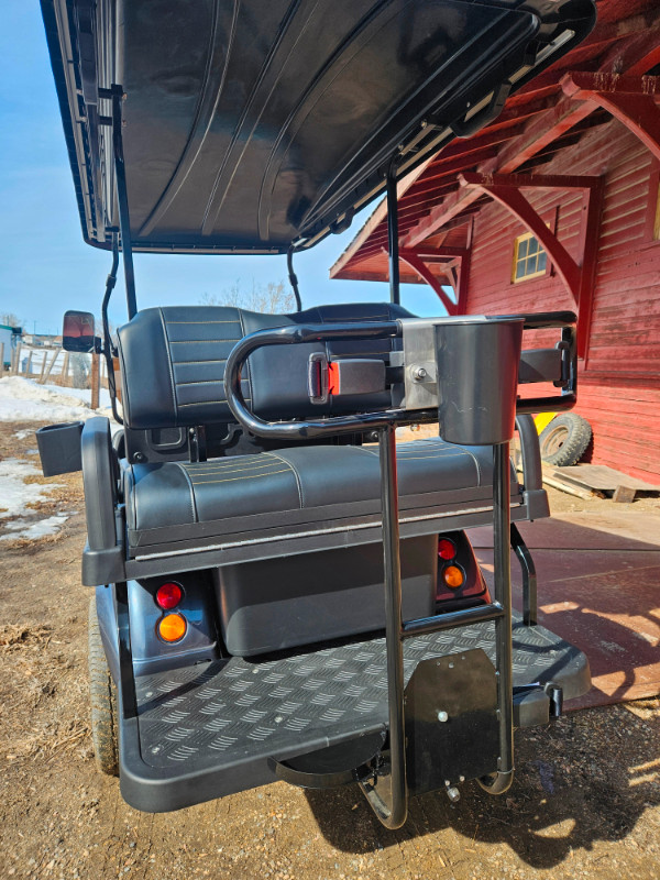 2024 Classic 4 Plus Electric Lithiu Golf Cart and Street Machine in Golf in Saskatoon - Image 3