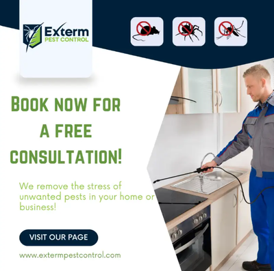 AFFORDABLE PEST CONTROL | FREE PEST CONTROL CONSULTATION, View more