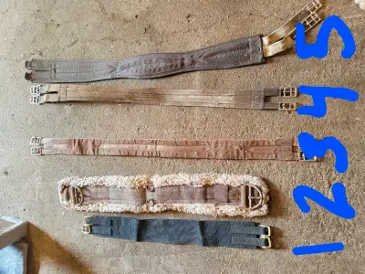Horse Tack, View more