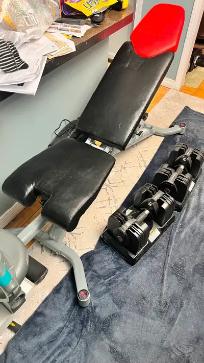 Vary good condition bowflex dumbbells and bench. Dumbbells 60lb each. 500 OBO