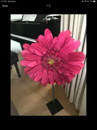 Fleur Décorative / Decorative Flower