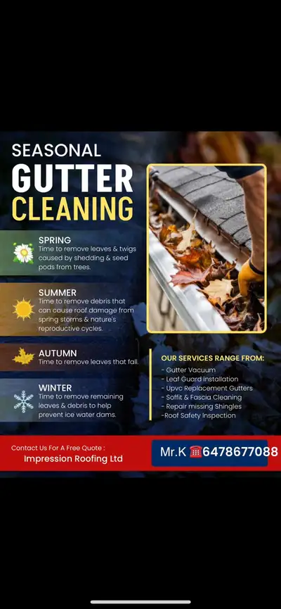 Gutter Cleaning Call 6478677088, View more