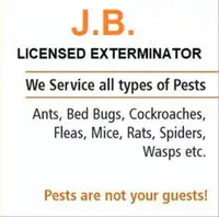 Pest control  for Mice,Cockroach,Ants,Wasps CALL: 416-729-8871