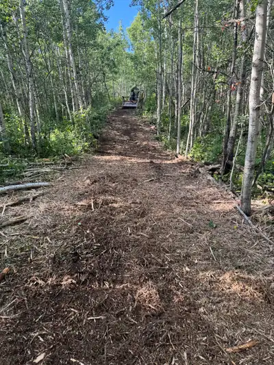 Mulching & Land Clearing Services We specialize in professional land clearing solutions designed to...