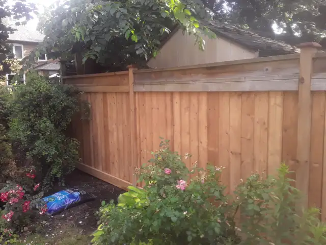 Handyman/eaves cleaning530755415893626881