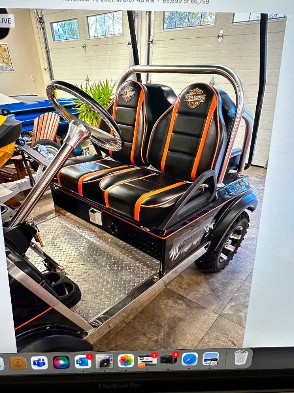 Custom Themed Golf Cart - Rare in Golf in Windsor Region - Image 4