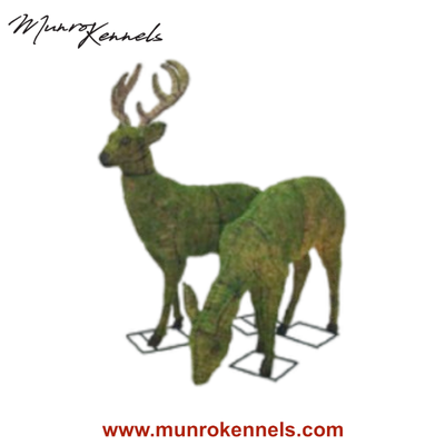 Tips For Making Your Space More Comfortable Home décor is an art and a science, and finding the righ...