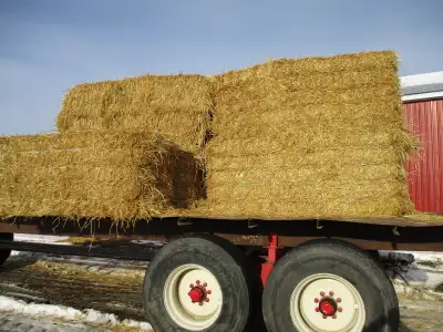 Wheat Straw, View more