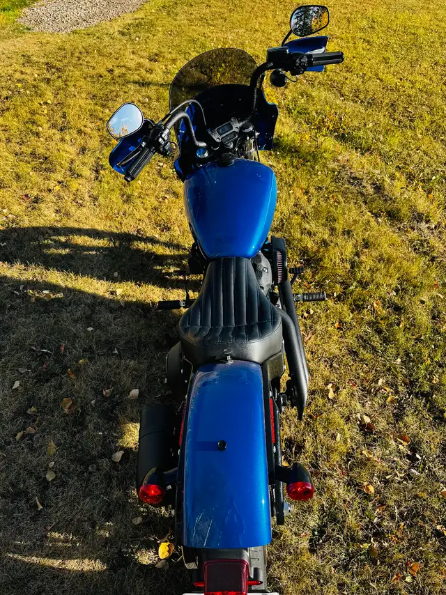 2024 Harley Davidson Street Bob in Street, Cruisers & Choppers in Red Deer - Image 3