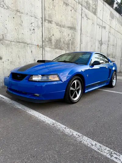 03 Mach 1 11,000 original miles 330 stroker D1 procharger T56 transmission 600rwhp on 15 lbs of boos...
