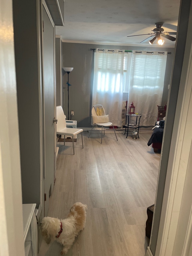 Room & TV AREA for Rent Room Rentals & Roommates Peterborough Kijiji