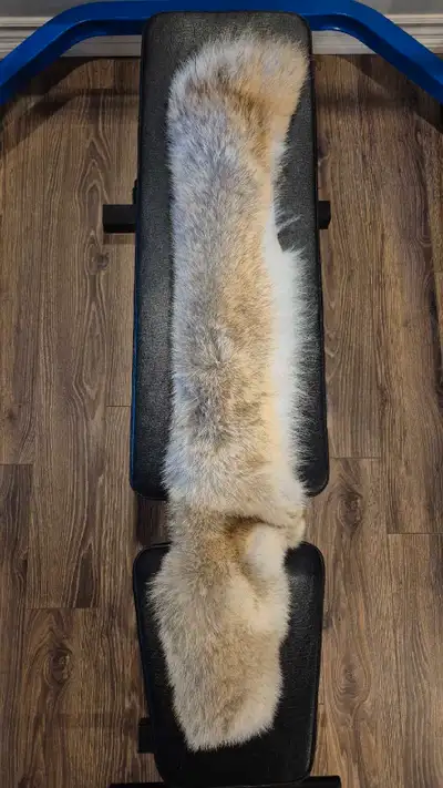 coyote fur ruff , View more