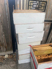 Free Bee hive