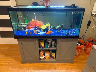 Lovely 76 gallon MarineLand tank for sale comes with Fluval 407 canister filter and all the fish foo...