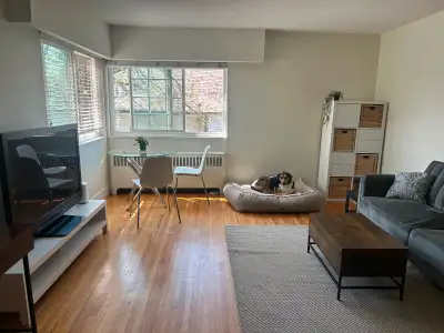 FEMALE FLATMATE NEEDED AVAILABLE IMMEDIATELY