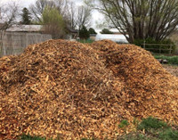 Wood chips and logs wanted