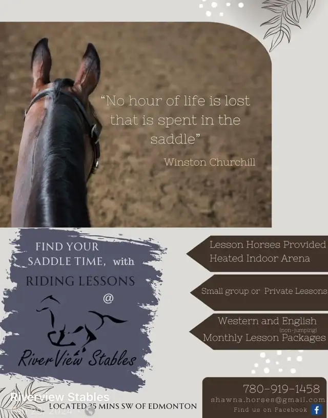 horse riding lessons462341832254443521