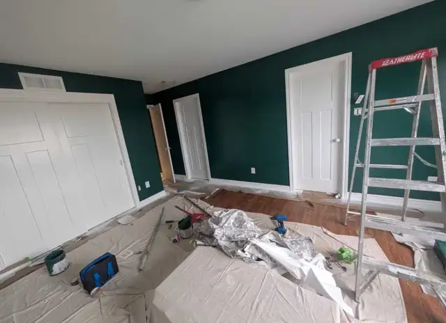 PROFESSIONAL OTTAWA PAINTER! 613-262-3721577405994235351047