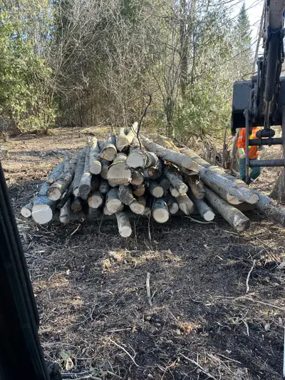 Winter is fast approaching, and there’s no better time than now to book your land clearing job for t...