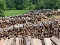 Firewood for sale: 8ft lengths, blocked, or blocked and split