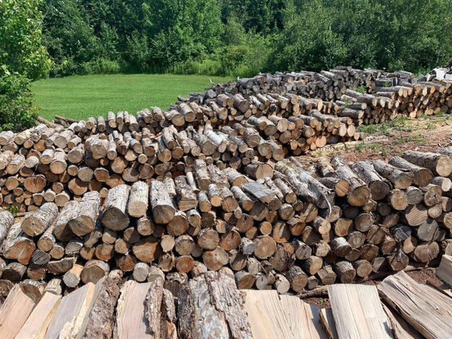 Firewood for sale: 8ft lengths, blocked, or blocked and split in Other in Summerside