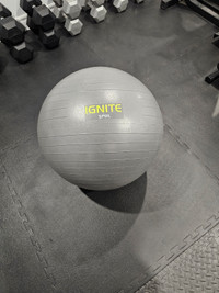 Stability excersise ball