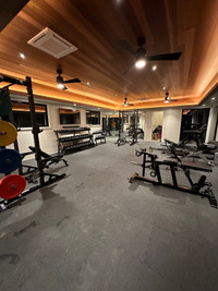Home and Commercial Gym Design Experts - Get started today!