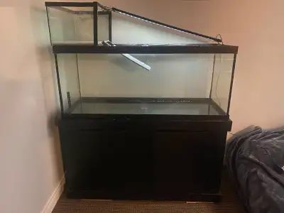 Turtle tank setup: 75 gallon tank, furniture stand with basking area and ramp, This includes caniste...