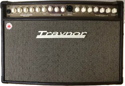 Traynor AM Standard 2-Channel Acoustic Guitar Amp - 150 W, View more