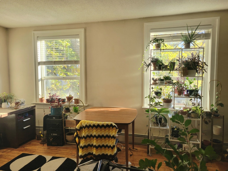 1 Bedroom Apartment in Nutana 2