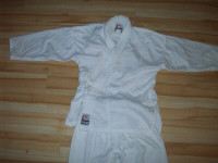 Hit the Dojo in this gi!