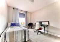 Luxurious Furnished Room & Workspace