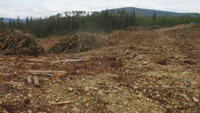 Summit Creek Gold Claims Near Barkerville in Other in Quesnel - Image 3