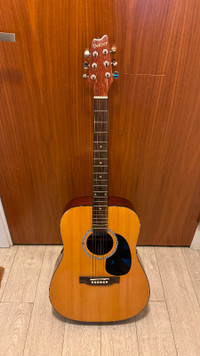 Denver Acoustic Guitar