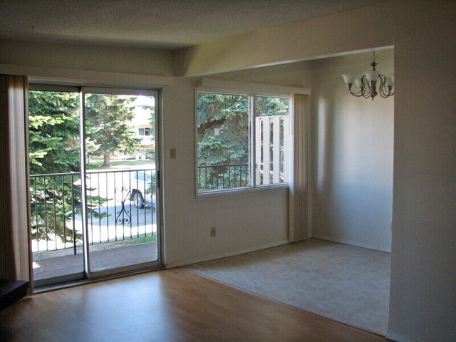 July 1:  Large and Bright 3 Bedroom  Upper Unit in Long Term Rentals in Red Deer - Image 4