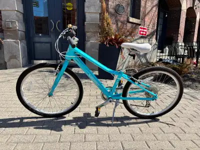 Kids’ Bike - 20” Guardian, View more