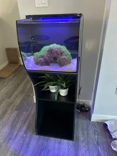57 litre salt water fluval flex aquarium with fluval programable light includes green star polo corr...