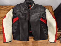 Dainese Cage (Motorcycle) Leather Jacket