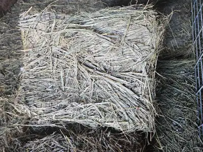 Hay for sale, View more