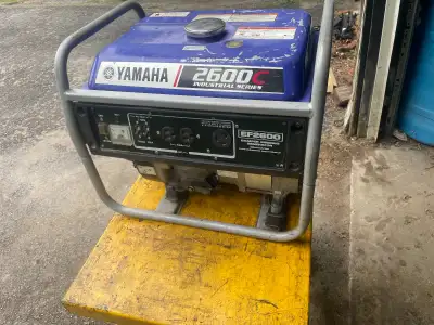 Fresh tune up New pullcord assembly Starts first pull Runs rv ac