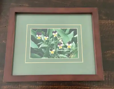 9x11" Framed Viola Pansy Flower Print - Kemptville, View more
