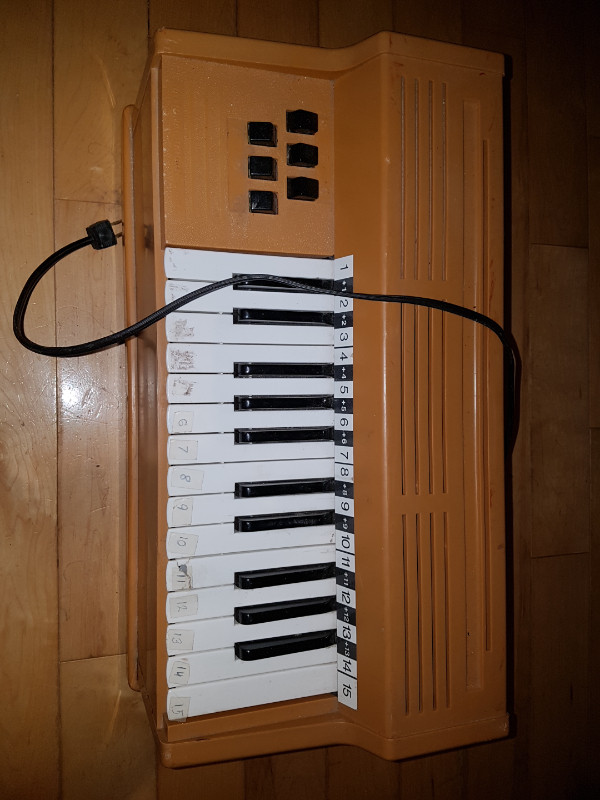 Chord Organ in Pianos & Keyboards in Hamilton