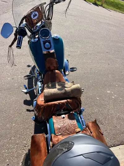 2009 Harley Davidson softail standard custom. Approximately 17,000kms on new engine. 170,000km on bi...