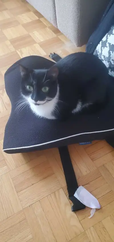 single-parent family needs a little help, View more