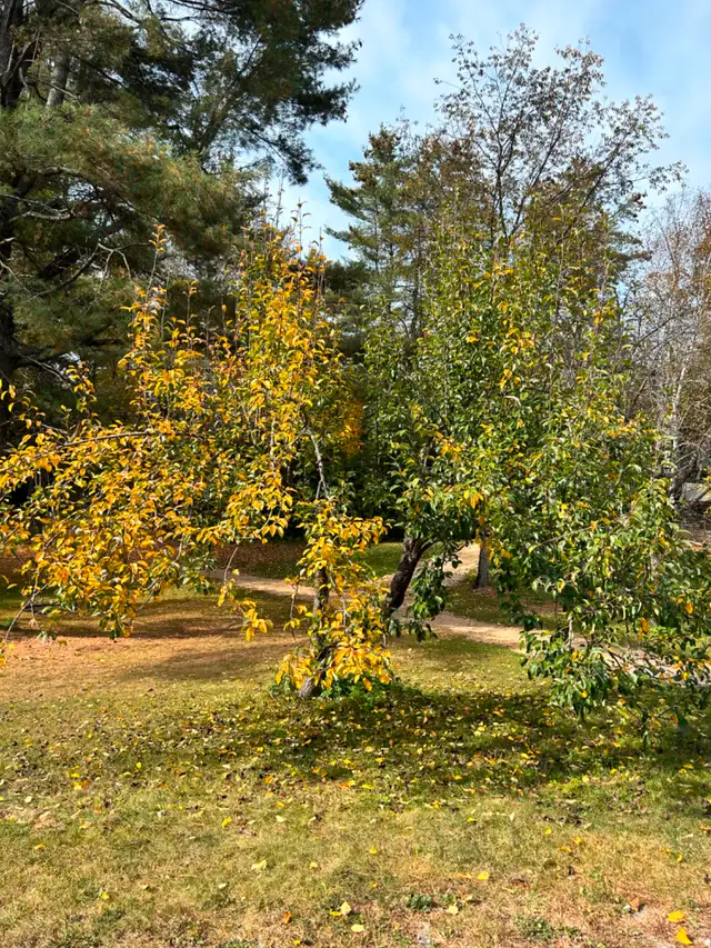 Weekly Campsite ️  Rentals in Quebec in Canada - Image 11
