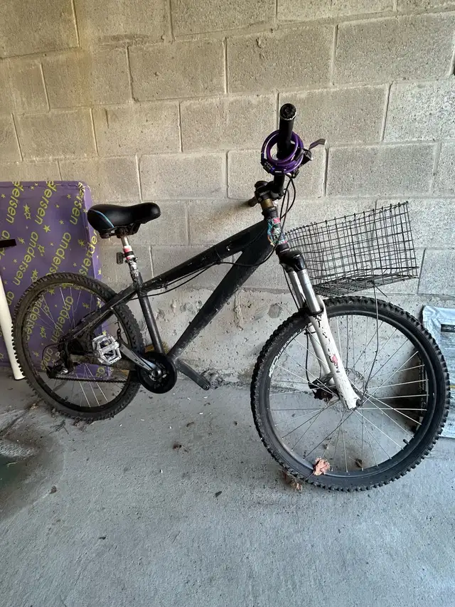 Rock Mountain Bicycle in Mountain in Markham / York Region - Image 2