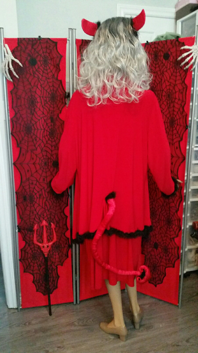 Ladies She Devil Costume in Costumes in St. John's
