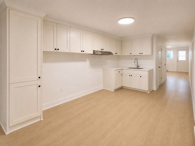 FULLY RENOVATED APPARTEMENT – MONTRÉAL-NORD — photo 1