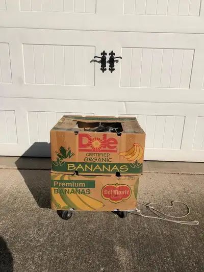 Antique Car Parts Flea Market Dealer Retiring NOS and good usable 50's and 60's parts for sale Lots...